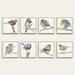 Birds of a Feather Art - Print VII, 18" x 18" - Ballard Designs 18" x 18" - Ballard Designs