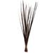 Vickerman 656228 - 36-40" Brown Sable Grass 14oz (H2SAG800-2) Dried and Preserved Grass