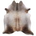 Brown 84 x 60 x 0.25 in Area Rug - Union Rustic Coster Animal Print Handmade Cowhide Caramel Area Rug Cowhide, | 84 H x 60 W x 0.25 D in | Wayfair