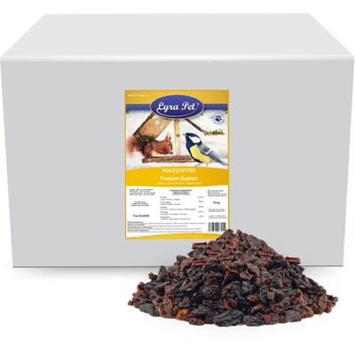 10 kg Lyra Pet Rosinen Premium