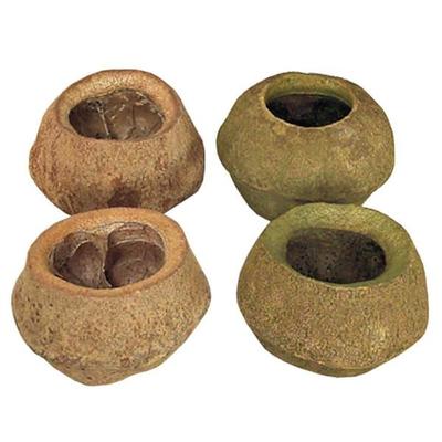 Vickerman 656440 - 5" Natural Sapa Pod 3PK (H2SPL000-3) Dried and Preserved Pods