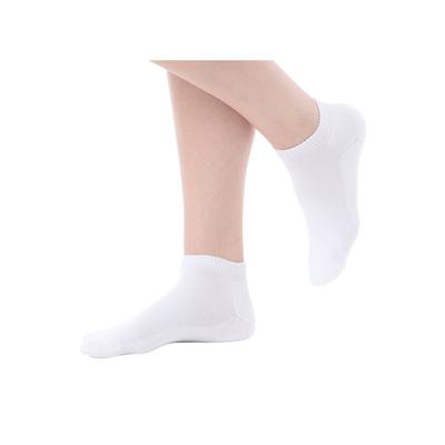 Plus Size Women's Ankle Socks 3-Pack by Comfort Choice in White Pack (Size 2X) Tights