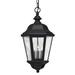 Darby Home Co Barletta Black 3 -Bulb 18.5" H Outdoor Hanging Lantern Glass/Aluminium/Metal in Black/Gray | 19.5 H x 10 W x 10 D in | Wayfair