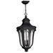 Hinkley Trafalgar 3 -Bulb 24.75" H Outdoor Hanging Lantern Glass/Aluminium/Metal in Black | 24.75 H x 12 W x 12 D in | Wayfair 1312MB