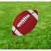 Trinx Football Yard Garden Stake Plastic in Red | 14 H x 14 W x 0.1875 D in | Wayfair B8F53A9ED87A4E6F9389B69FF2CB560C