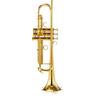 Adams A5 Brass 045 Selected GL