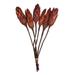 Vickerman 652985 - REPENS N/S, RED, 6 stem bunch (H1RNS475) Dried and Preserved Flowering Plants