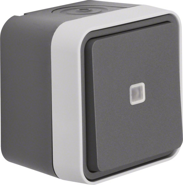 Berker Taster Wechsler 50763505 Image