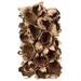 Vickerman 650660 - 10-12" Natural Giant Seed Pod Segment (H2GPS000) Dried and Preserved Pods