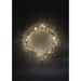 The Holiday Aisle® 40 Light Battery String Lights in White | 4 H x 192 W x 1 D in | Wayfair 93A55B92EB8D49ECBAC24CD038198577