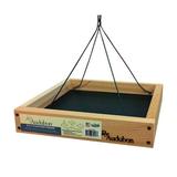 Audubon 3 in 1 Wild Platform Tray Bird Feeder Wood in Black/Brown | 2.5 H x 13.3 W x 13.3 D in | Wayfair NAPLAT 2