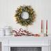 The Holiday Aisle® 24" PVC Wreath in Green/White | 24 H x 24 W x 4 D in | Wayfair B65E37096FA24BD398CFD61E9F1CD1B5