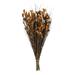 Vickerman 648629 - 15-20" Bell Grass w/Aspen Gold Pods (H1BFS725) Dried and Preserved Grass