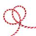 Northlight Seasonal 18' Red & White Striped Candy Cane Christmas Rope Light in Red/White | 1 H x 1 W x 18 D in | Wayfair 32912618