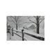 Northlight Seasonal Fiber Optic Lighted Snowy Winter Cabin Canvas Wall Art Canvas in Black/White | 11.75 H x 15.75 W x 0.75 D in | Wayfair 32621264