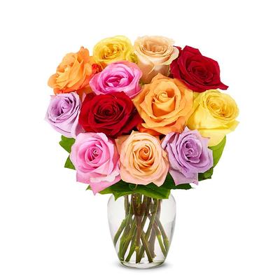 One Dozen Mother's Day Rainbow Roses