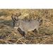 Hi-Line Gift Ltd. Standing Donkey Statue in Gray | 15.16 H x 6.1 W x 18.5 D in | Wayfair 87974-D