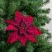 Northlight Seasonal 18" Red Velvet Poinsettia Artificial Christmas Stem Fabric | 18 H x 9 W x 1 D in | Wayfair NORTHLIGHT GB26201