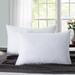 Puredown Firm Support Pillow Down & Feathers/100% Cotton | 20 H x 30 W in | Wayfair PD-DP15018-Q