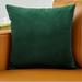 Willa Arlo™ Interiors Batchelder Square Velvet Pillow Cover Velvet in Green | 20 H x 20 W x 1 D in | Wayfair C015BD17FD094082B5B0C15225678037