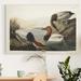Gracie Oaks 'Pl 301 Canvas-Backed Duck' - Wrapped Canvas Print Canvas, Solid Wood in Brown/Gray/White | 20 H x 16 W x 1 D in | Wayfair