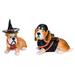 The Holiday Aisle® 2 Piece Resin Halloween Dog Set Resin | 6 H x 5 W x 7 D in | Wayfair 672EFD4F21D344C588147F9E2DEE7D8C