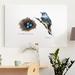 Gracie Oaks 'Bird & Nest Study II' - Wrapped Canvas Print Canvas, Solid Wood in Black/Blue/Brown | 20 H x 16 W x 1 D in | Wayfair