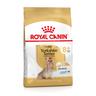 2x3kg Yorkshire Terrier Adult 8+ Royal Canin Breed secco per cani