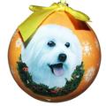E&S Imports Maltese Puppy Cut Ball Ornament Plastic in Orange/White | 3 H x 3 W x 3 D in | Wayfair CBO-88