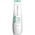 Biolage - Scalp Sync Scalp Cool Mint Shampoo 250 ml Damen