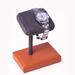 Latitude Run® Saddle Single Watch Stand Leather in Gray/Orange | 6 H x 4.75 W x 3.25 D in | Wayfair 3201A08FDD5F4A979EDEA33B0445F070