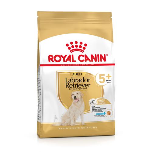 12 kg Royal Canin Breed Labrador Retriever Adult 5+ Trockenfutter Hund