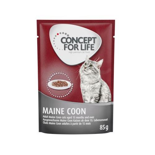 12x85g Maine Coon Ragout-Qualität Concept for Life Katzenfutter nass