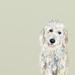 Winston Porter Best Friend White Golden Doodle by Cathy Walters - Wrapped Canvas Print Canvas | 18 H x 18 W x 1.5 D in | Wayfair