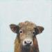 August Grove® Highland Cow by Cathy Walters - Wrapped Canvas Print Canvas | 10 H x 10 W x 1.5 D in | Wayfair DA9F9F5EA9E0445C8F036381CA2BCBDF
