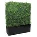 Dalmarko Designs Boxwood Hedge in Planter Metal in Black | 48 H x 40 W x 40 D in | Wayfair dmr1211