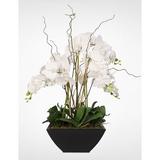 Jenny Silks Real Touch White Phalaenopsis Orchids in a Black Metal Zinc Pot Plastic | 29 H x 21 W x 21 D in | Wayfair F-37