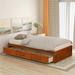 wuudi Twin Storage Platform Bed Wood in Brown | 14.1 H x 41.8 W x 77.9 D in | Wayfair 0884218608711