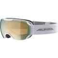 ALPINA Herren Skibrille Pheos S HM, Größe ONE SIZE in Silber