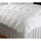 Arsuite All Season Goose Down Comforter Goose Down, Cotton in White | 108 H x 94 W x 2 D in | Wayfair 0AA5D281A7E74BE897FB9020DA6B51E3
