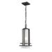 Z-Lite Abbey 17 Inch Tall Outdoor Hanging Lantern - 549CHM-BK