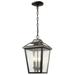 Z-Lite Bayland 15 Inch Tall 3 Light Outdoor Hanging Lantern - 539CHM-ORB