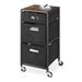 Rebrilliant Mcmurry Rolling 3 Drawer Storage Chest Metal/Fabric in Black | 27.17 H x 11.81 W x 11.81 D in | Wayfair