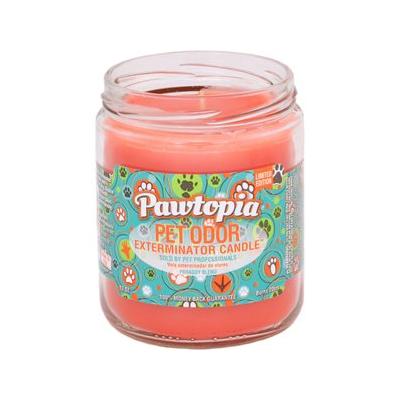 Pet Odor Exterminator Pawtopia Deodorizing Dog & Cat Candle, 13-oz jar