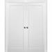 Pocket Door - Standard Door - SARTODOORS Quadro Paneled Wood Sliding Closet White Doors Wood in Brown/Green | 80 H x 48 W in | Wayfair 4115DP-WS-48