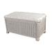 Bay Isle Home™ Ciotti Wicker Trunk Solid Wood in White | 16 H x 30 W x 16 D in | Wayfair 3EDDF6D436594621B8EB33D74D08A3B6