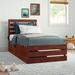 Sand & Stable™ Baby & Kids Dionis Extra Long Twin 2 Drawers Solid Wood Platform Standard Bed Wood in Brown | 41.375 H x 40.25 W x 82.25 D in | Wayfair