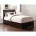 Nystead Full Solid Wood Panel Bed w/ Trundle by Charlton Home® Wood in Brown | 44.25 H x 55.75 W x 81.125 D in | Wayfair