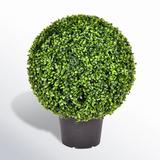 Three Posts™ Artificial Green Boxwood Ball. Plastic in Black | 20 H x 20 W x 20 D in | Wayfair TRPT1306 40158977