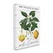 Rosalind Wheeler Life Gives Lemons Quote Country Fruit Anatomy - Graphic Art Print Canvas/Metal in Gray | 40 H x 30 W x 1.5 D in | Wayfair